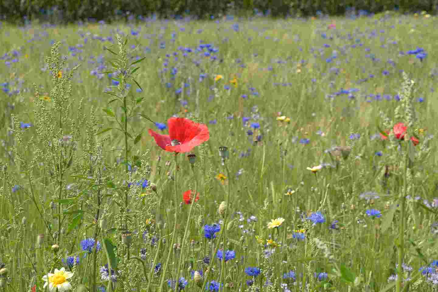 Hospice Leendert Vriel Enschede Haaksbergen