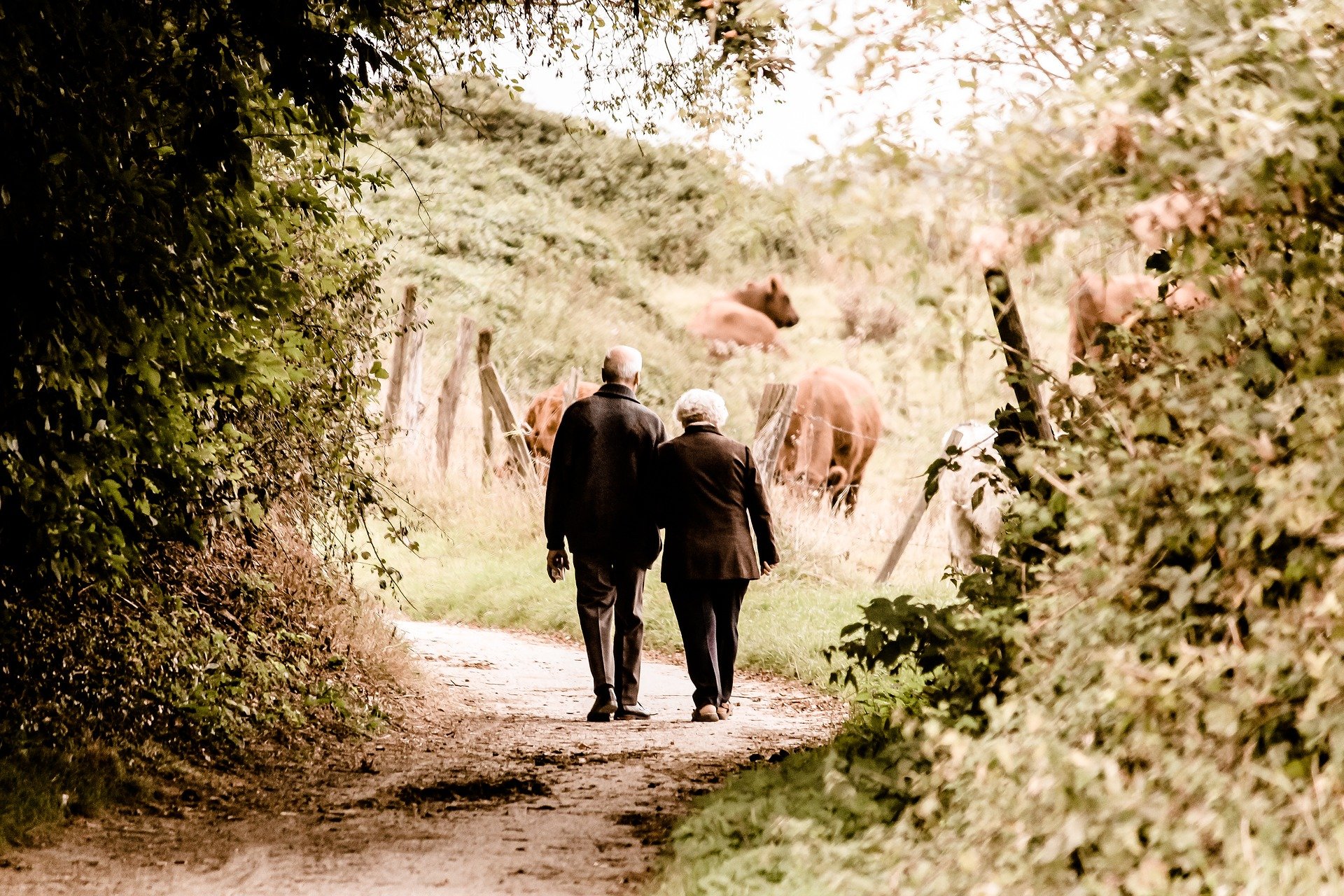 Wie wil met mij (man, 86 jaar) een wandeling maken langs "memory-lane" ?