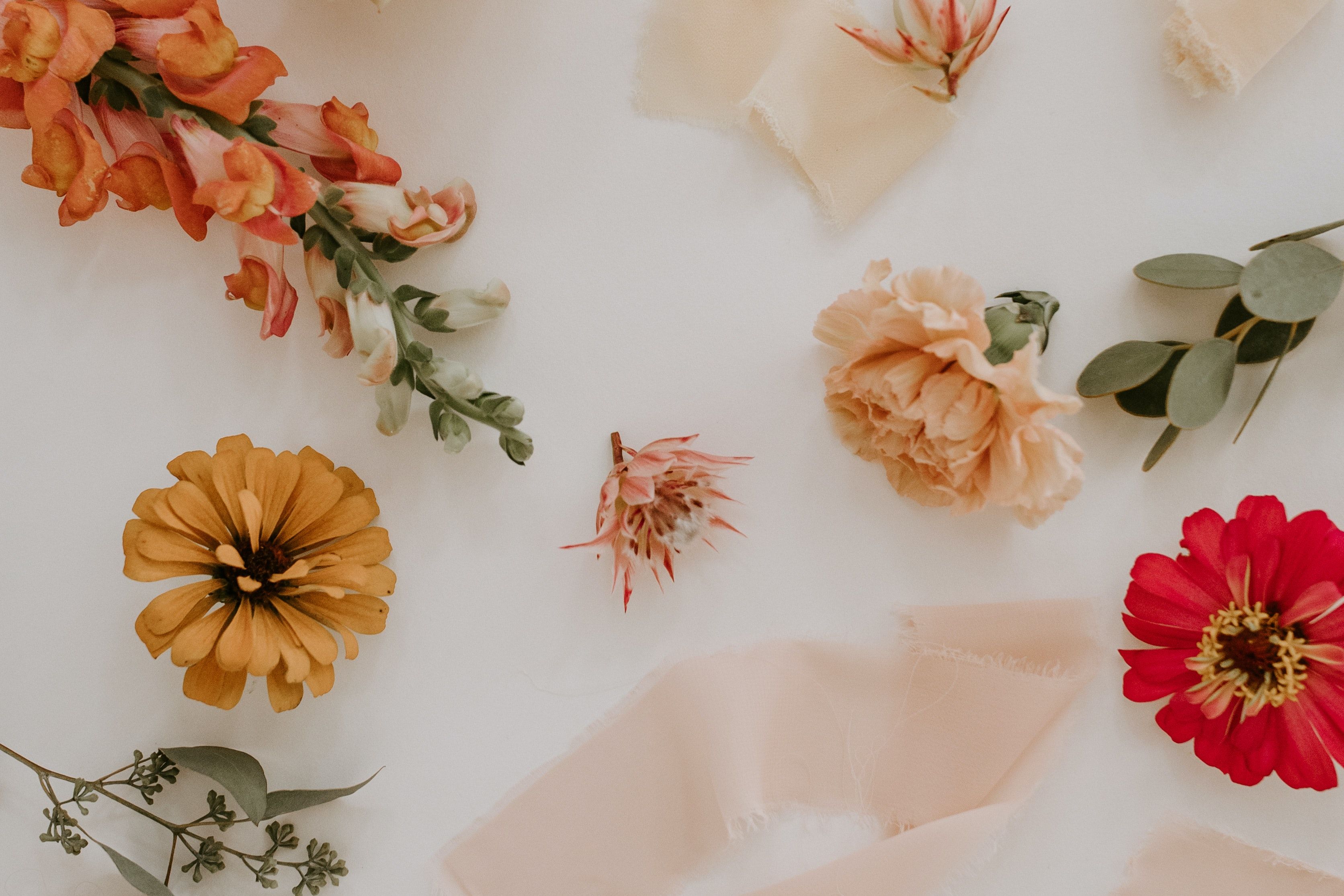 Extra paar handen en ogen gezocht voor het opnieuw indelen van deze tuin!