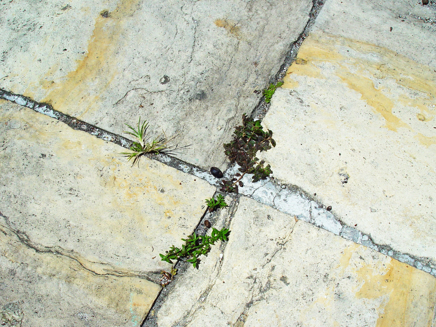 kun jij overweg  met een hogedrukspuit?