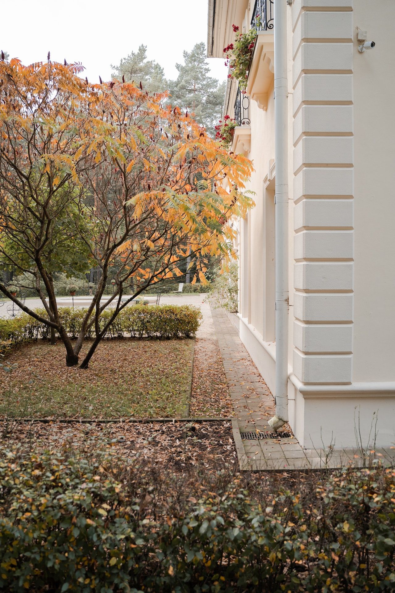 Gezellige, opgeruimde tuinen. Kom jij dit echtpaar hun tuintjes weer leuk maken?