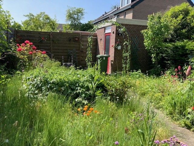 Kom jij mevrouw haar mooie, verwilderde tuin weer netjes maken? (Zie foto)