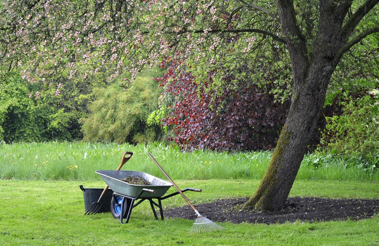 Heeft u groene vingers? Mevrouw uit Zwaag vraagt hulp voor haar tuin.
