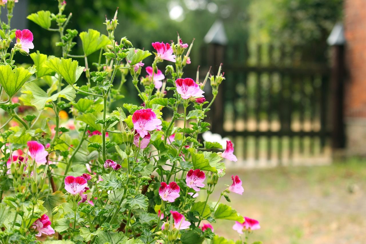 Zorg jij ervoor dat mevrouw weer kan genieten in de tuin?