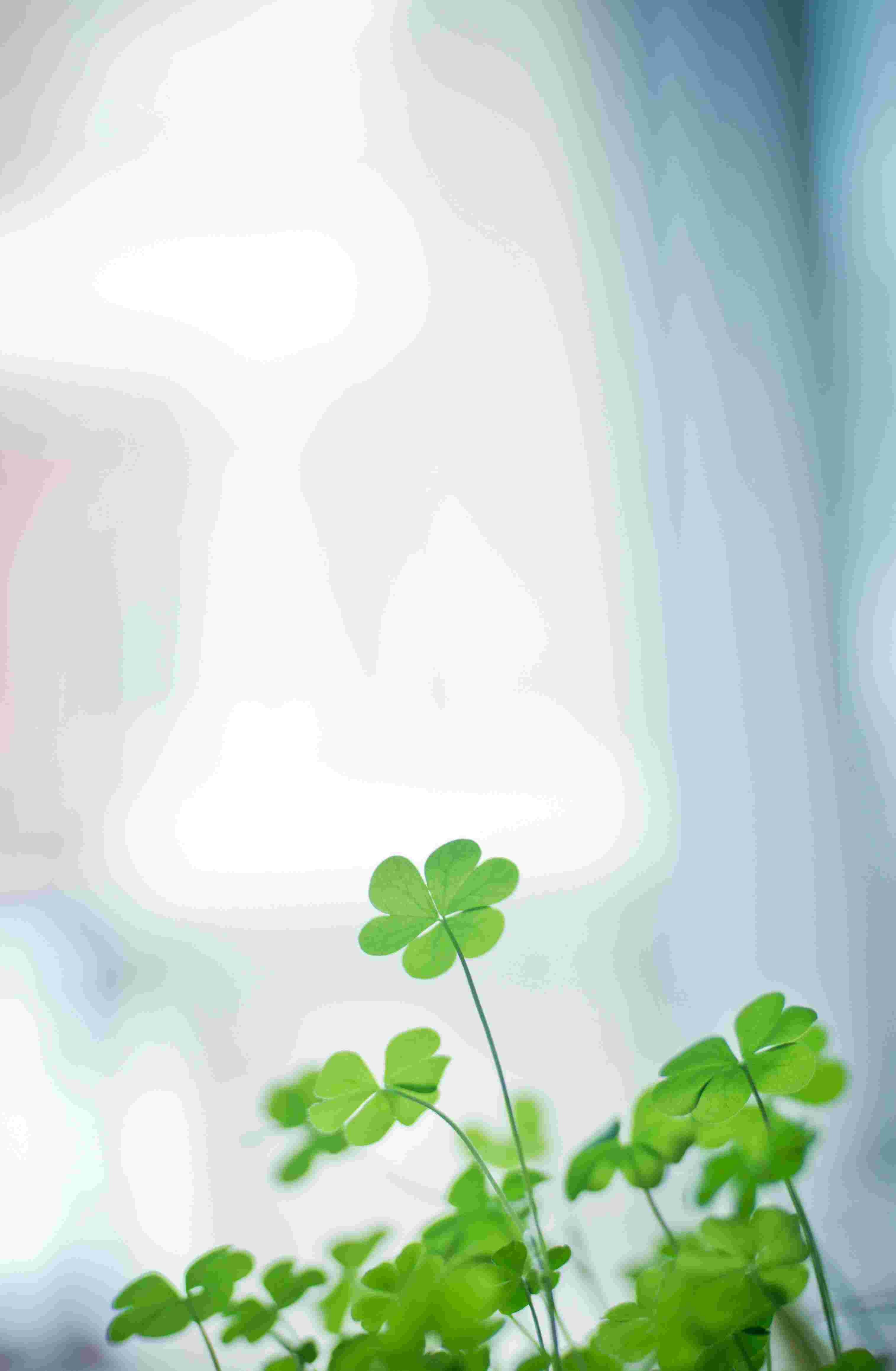 Maak jij dit stukje tuin blij? Het is graag onkruidvrij!