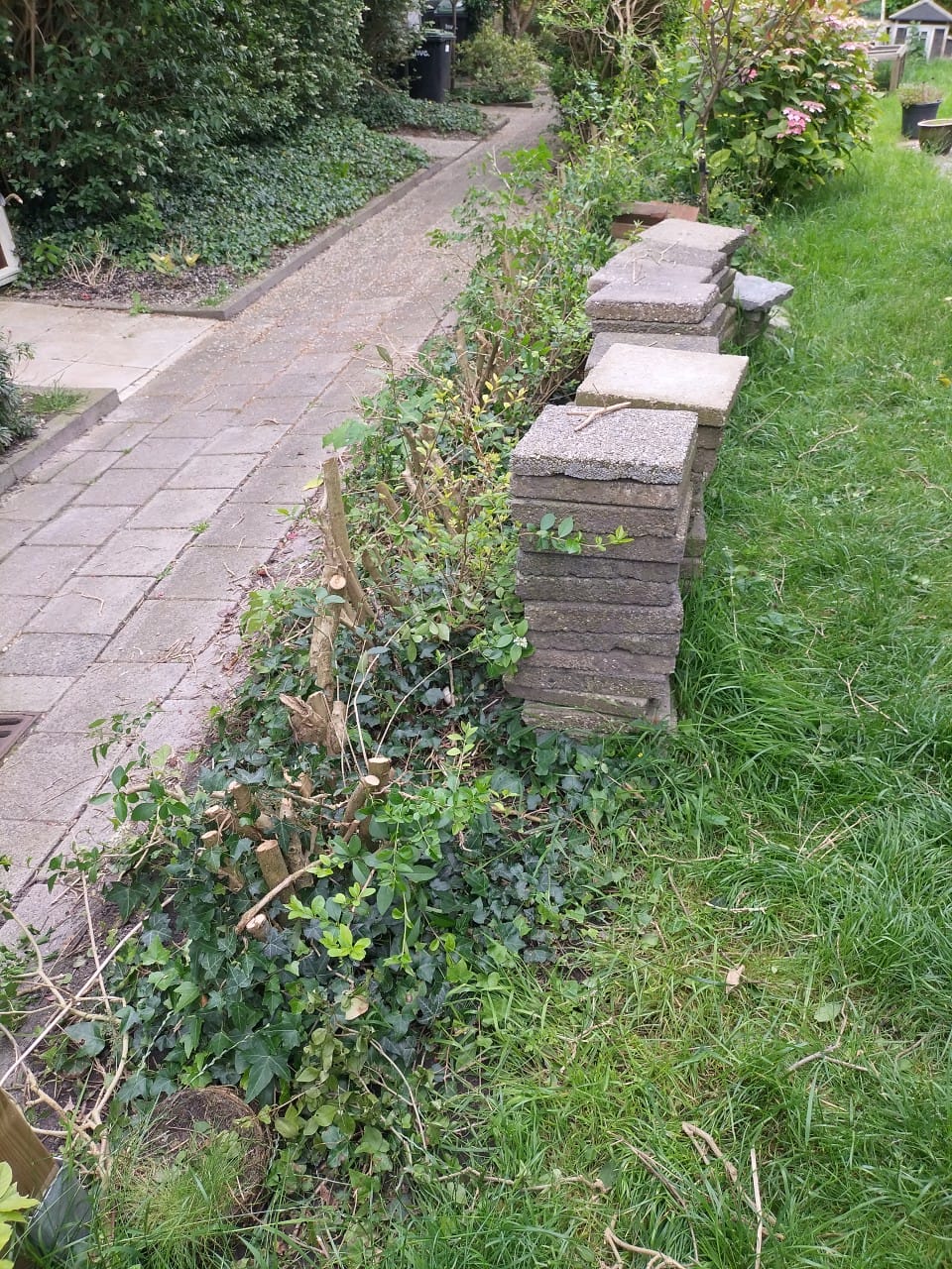 Ben jij die sterke aanpakker waar mevrouw naar op zoek is?