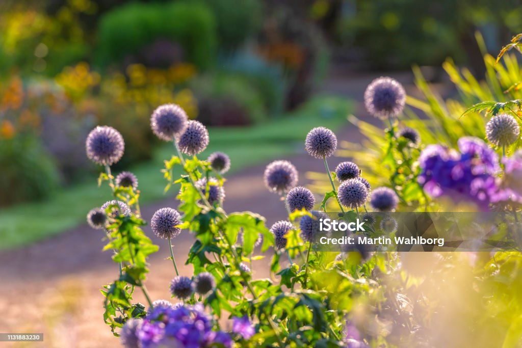 Er moet een hard geworden zak cement naar de stort wie helpt?