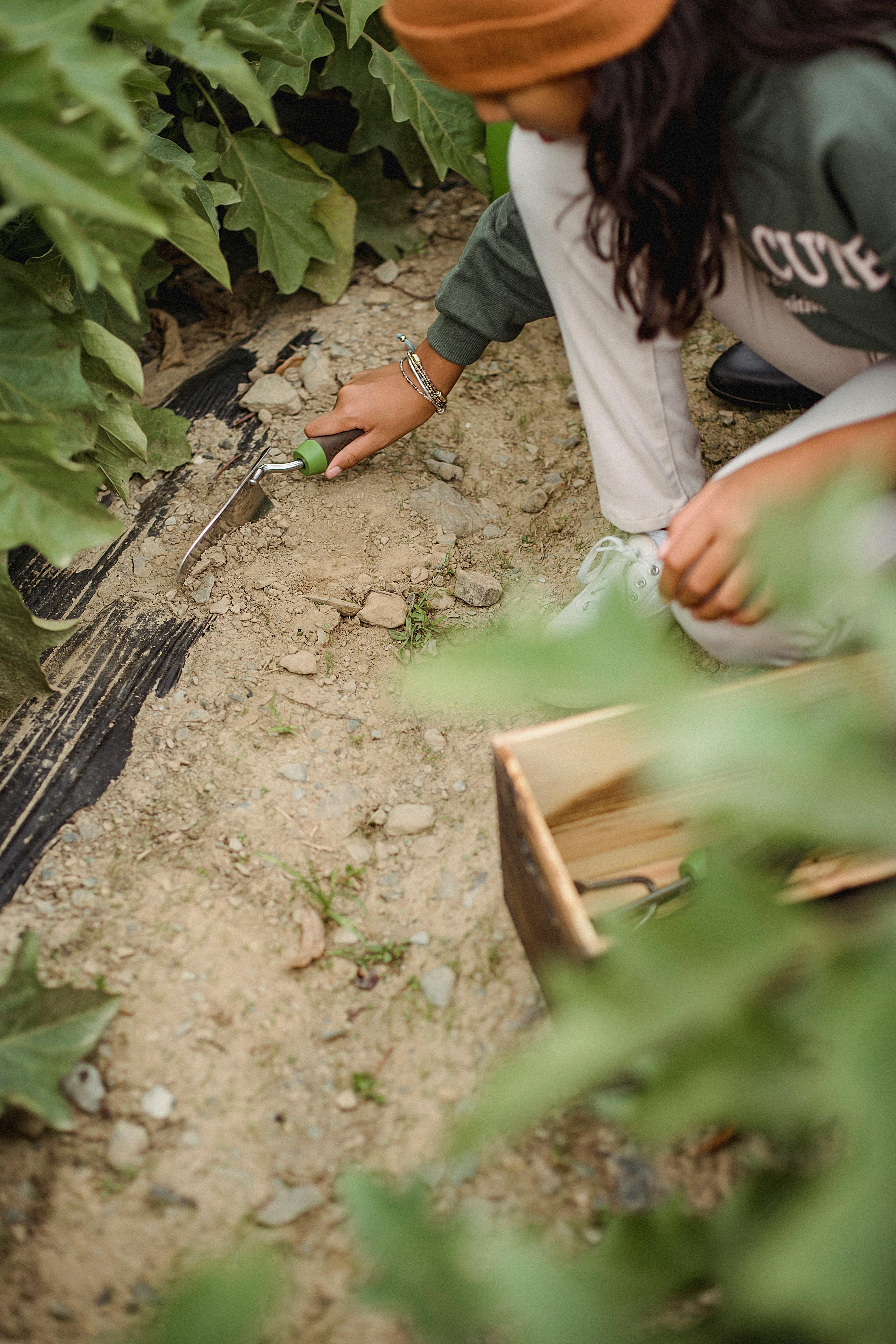 Maak jij dit tuintje weer knap voor de winter?