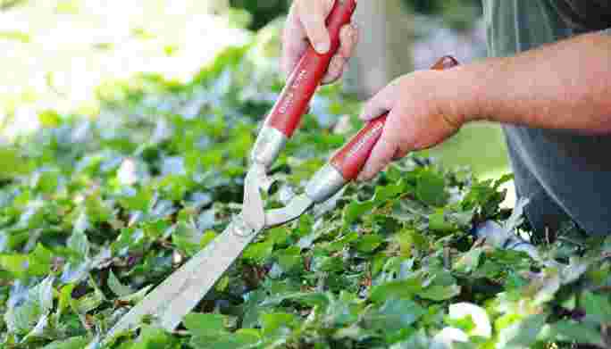 Zet je groene vingers aan het werk en maak het verschil