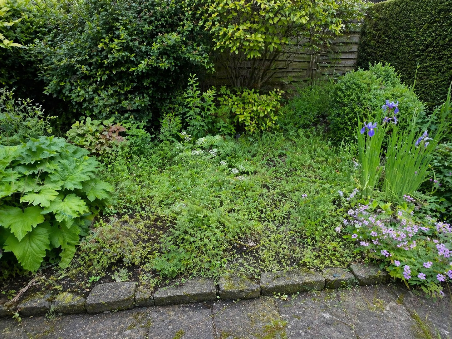 Geef deze tuin weer lucht – help even met het onkruid!