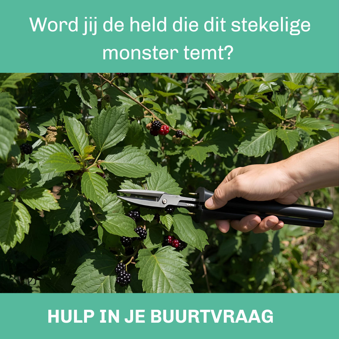 Wie helpt mevrouw met het verwijderen van een bramenstruik?