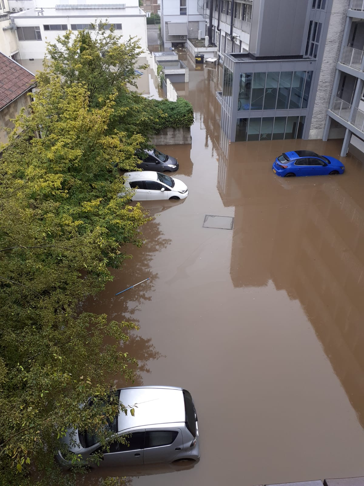 Kelder leeghalen en afval afvoeren ook van 2e verdieping bij 82 jarige dame