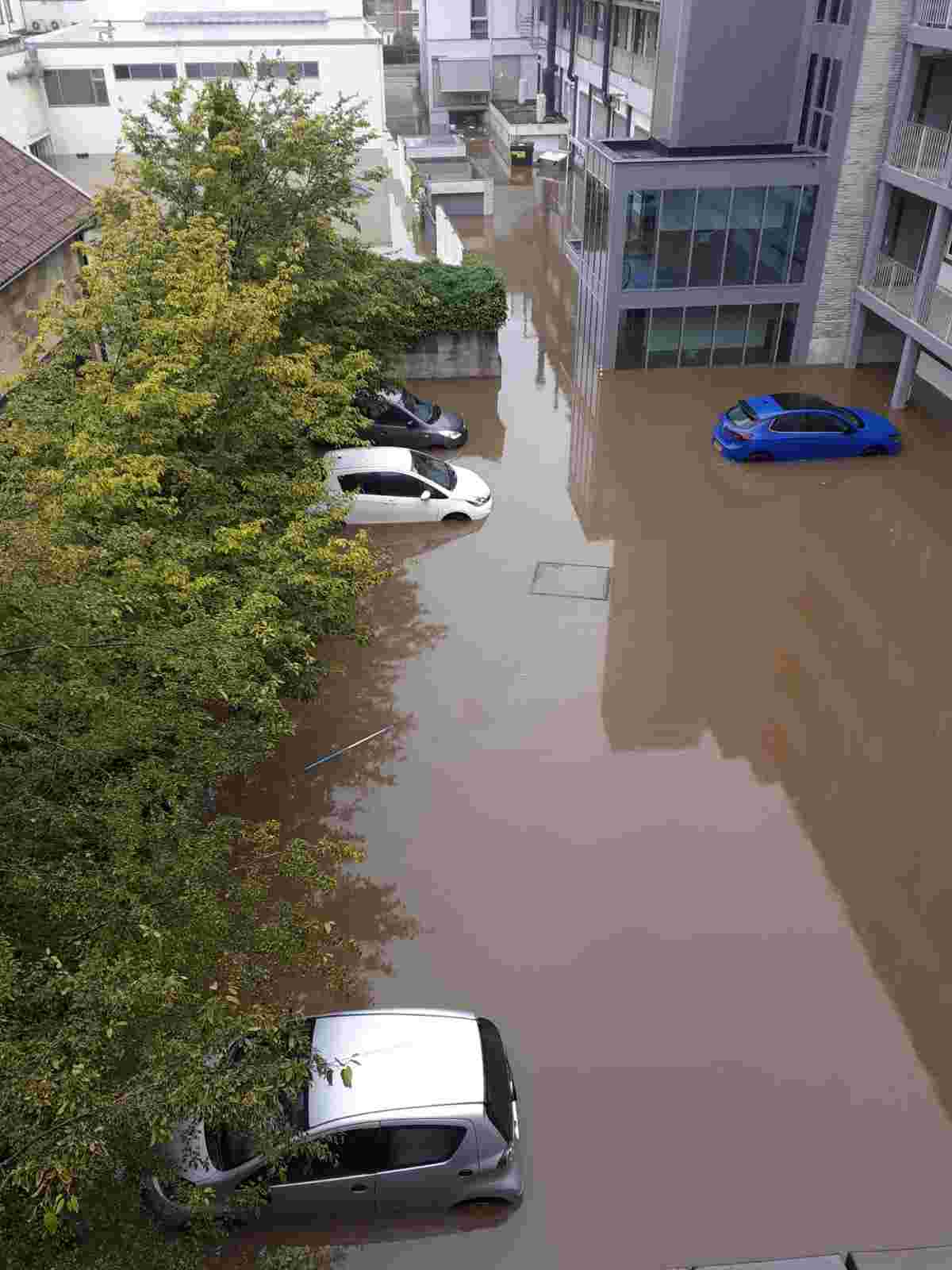 Kelder leeghalen en afval afvoeren ook van 2e verdieping bij 82 jarige dame