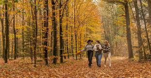 Maatje om leuke dingen te ondernemen