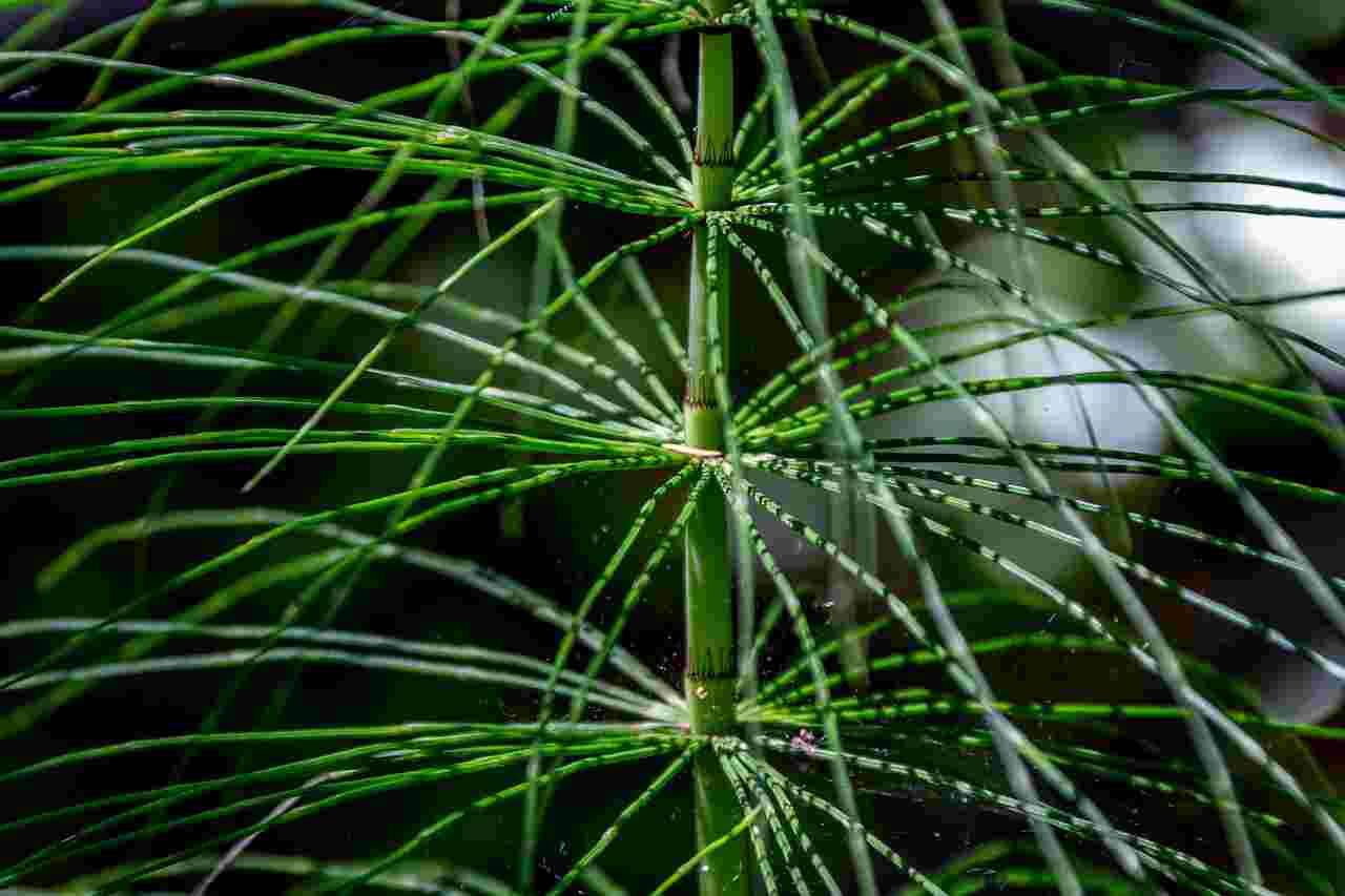 Heermoes eruit, liefde erin