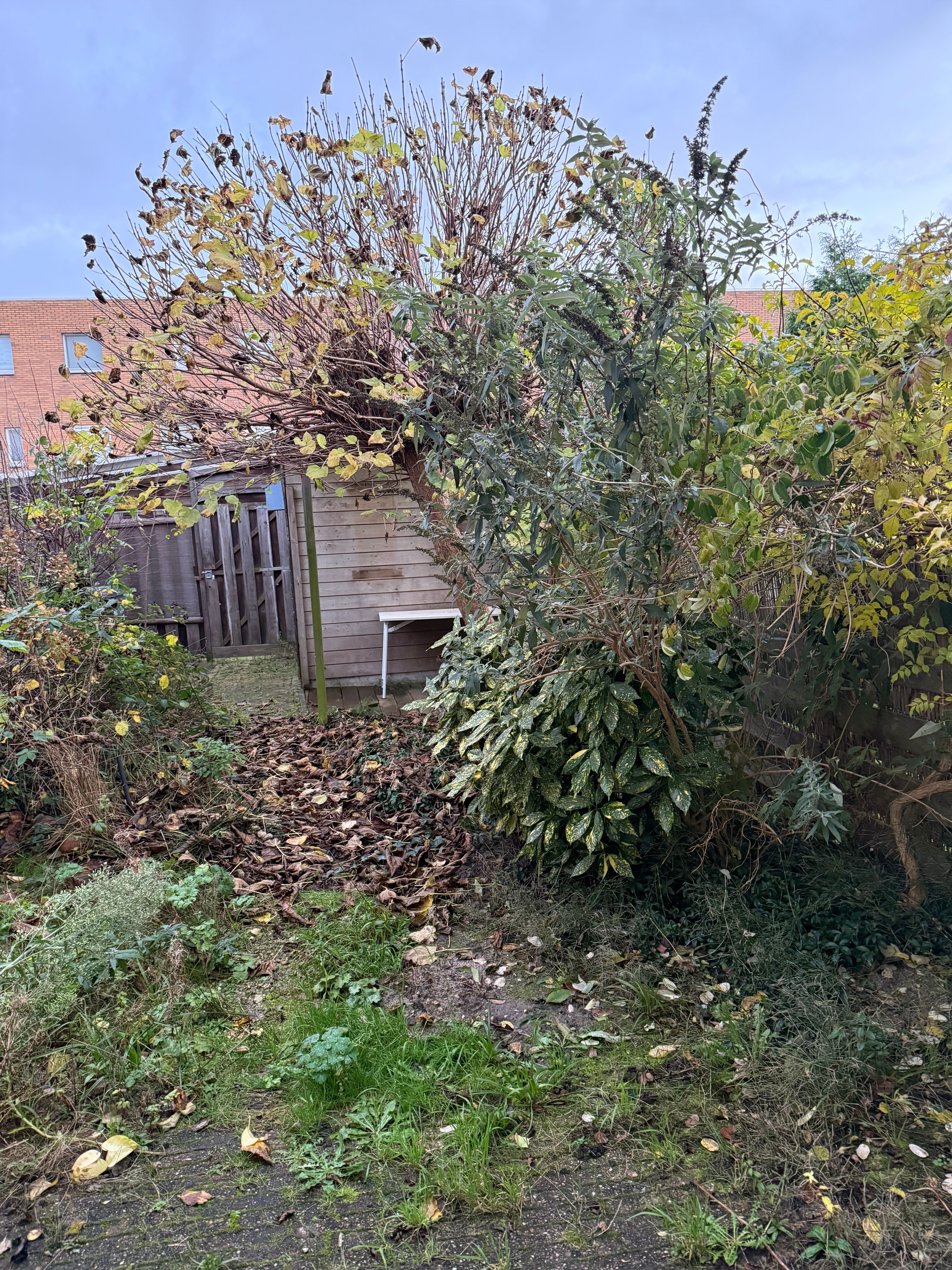 Vrijwilliger gezocht voor tuinonderhoud