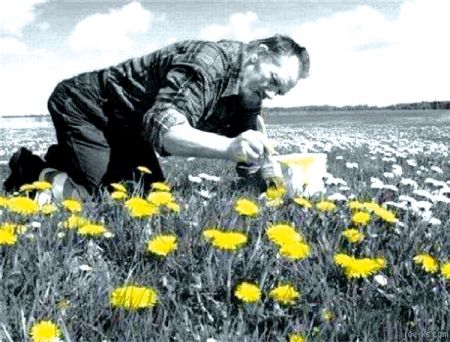 AllOne - Creative Community Building