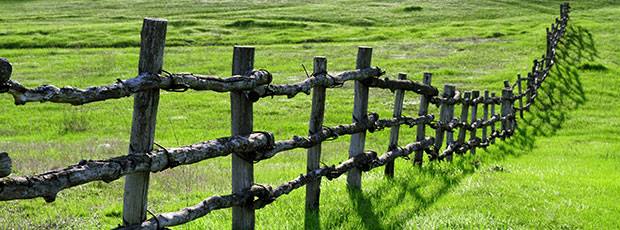 Dialoog: Grenzen stellen of verleggen