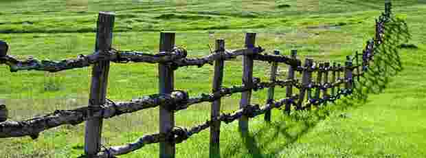 Dialoog: Grenzen stellen of verleggen