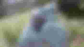 Vrijwilligers voor de zorg (zorgervaring niet nodig) Johannes Hospitium Vleuten