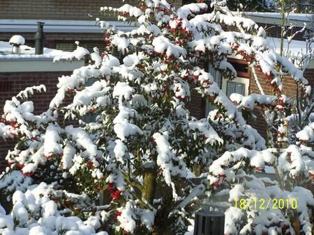 Landschapsbeheer Vleuten-de Meern