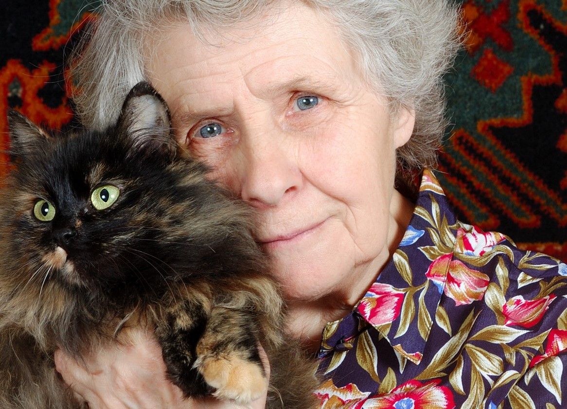 Coördinator Dierenbuddy