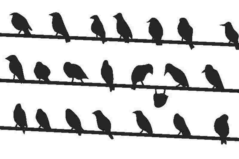 Toekomst voor iedereen?