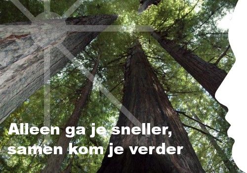 Workshop Samen verder