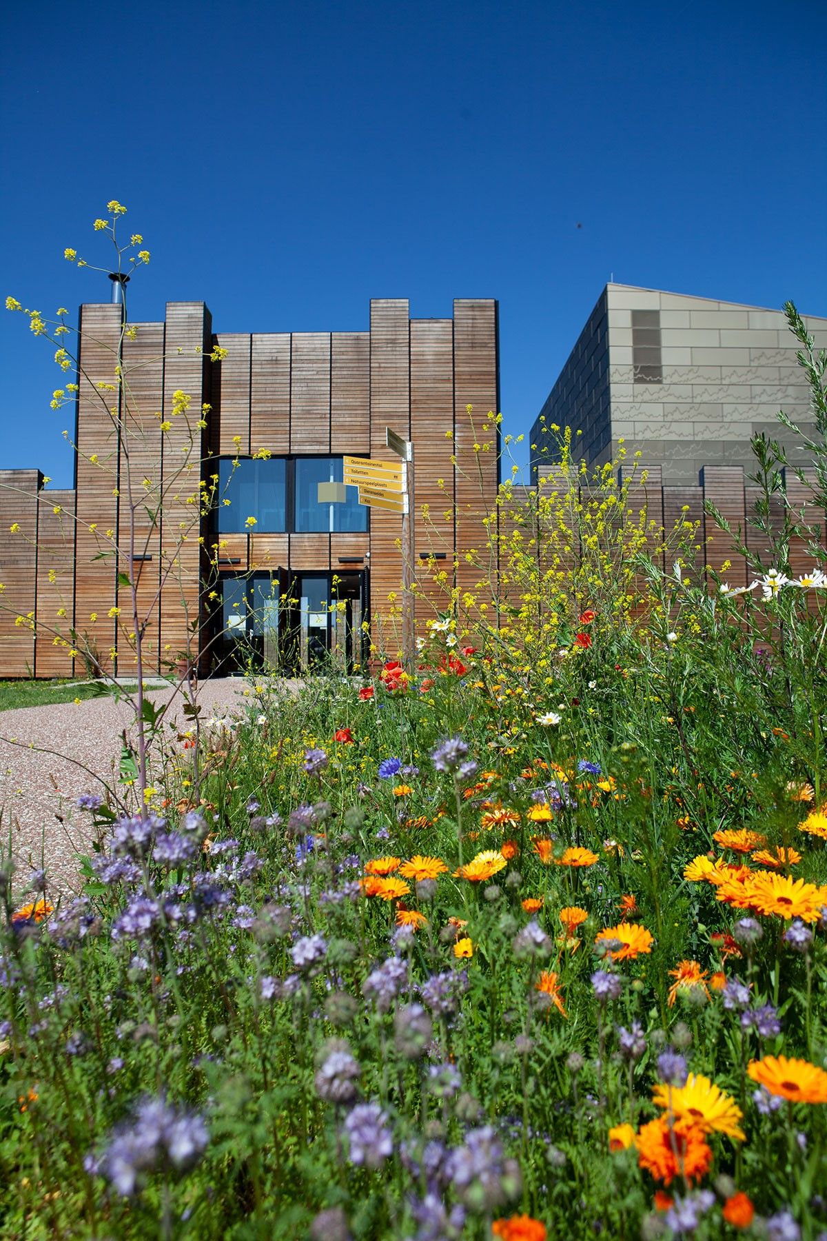 Help bijen en vlinders in Leidsche Rijn