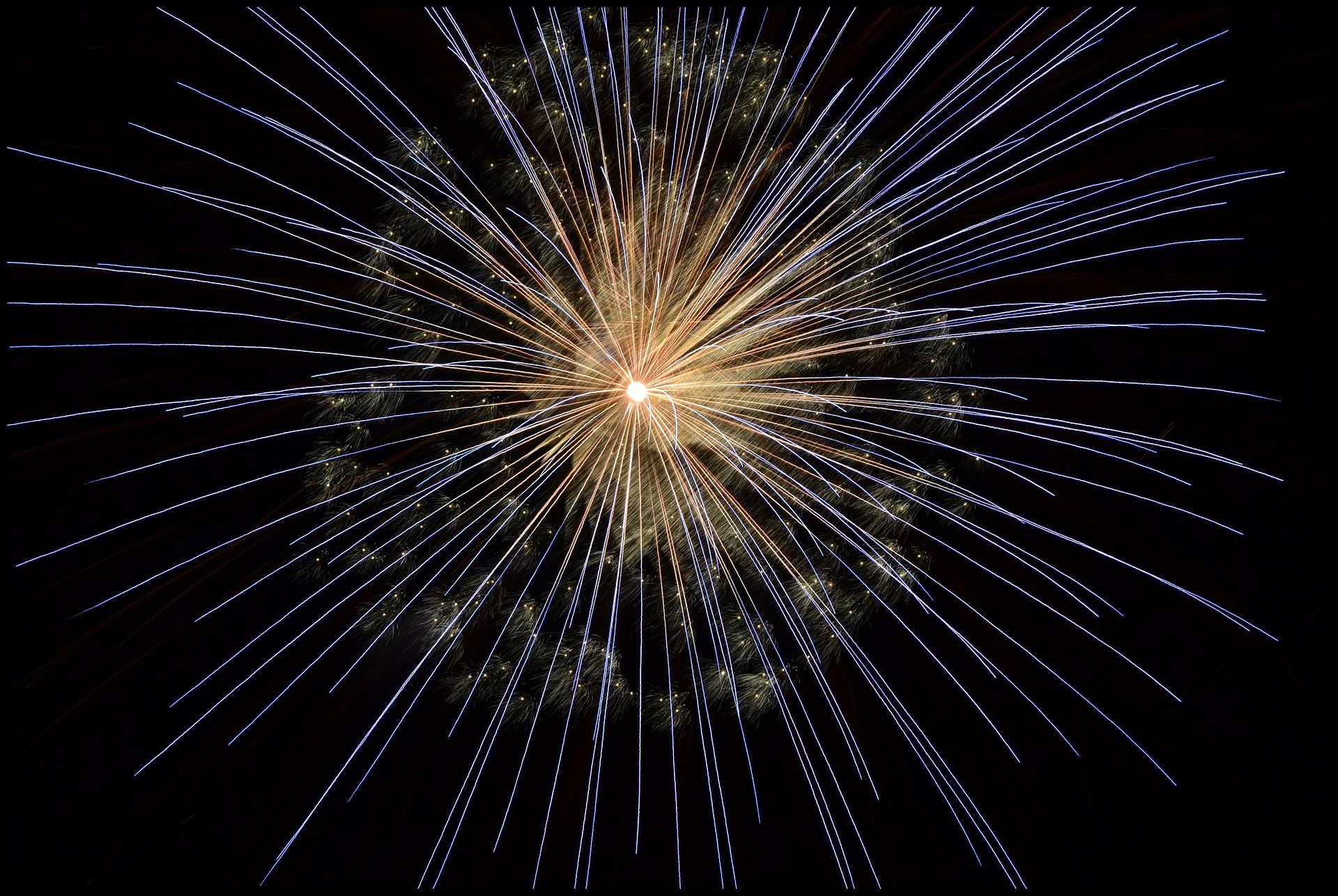 Dialoog Griftpark: Vuurwerk/Fireworks