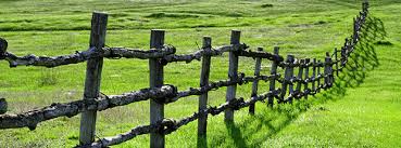 Dialoog @Podium Oost: Grenzen