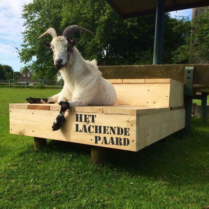 Enthousiaste dierenverzorger