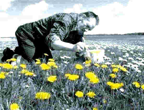 Creatieve projecten helpen opzetten?