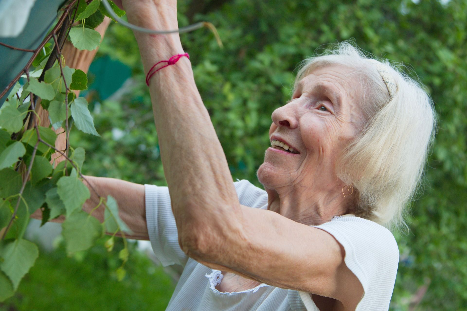 Helpen met de plantjes in Lunetten (flexibel)