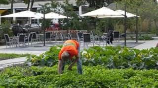 Groene helpende handen