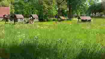 Handige klusjesman/vrouw voor onderhoud Speellocatie Het Vogelnest