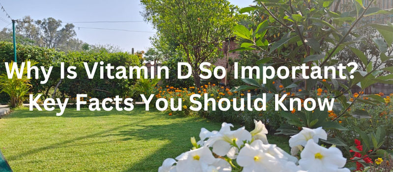 Why Is Vitamin D So Important? Key Facts You Should Know