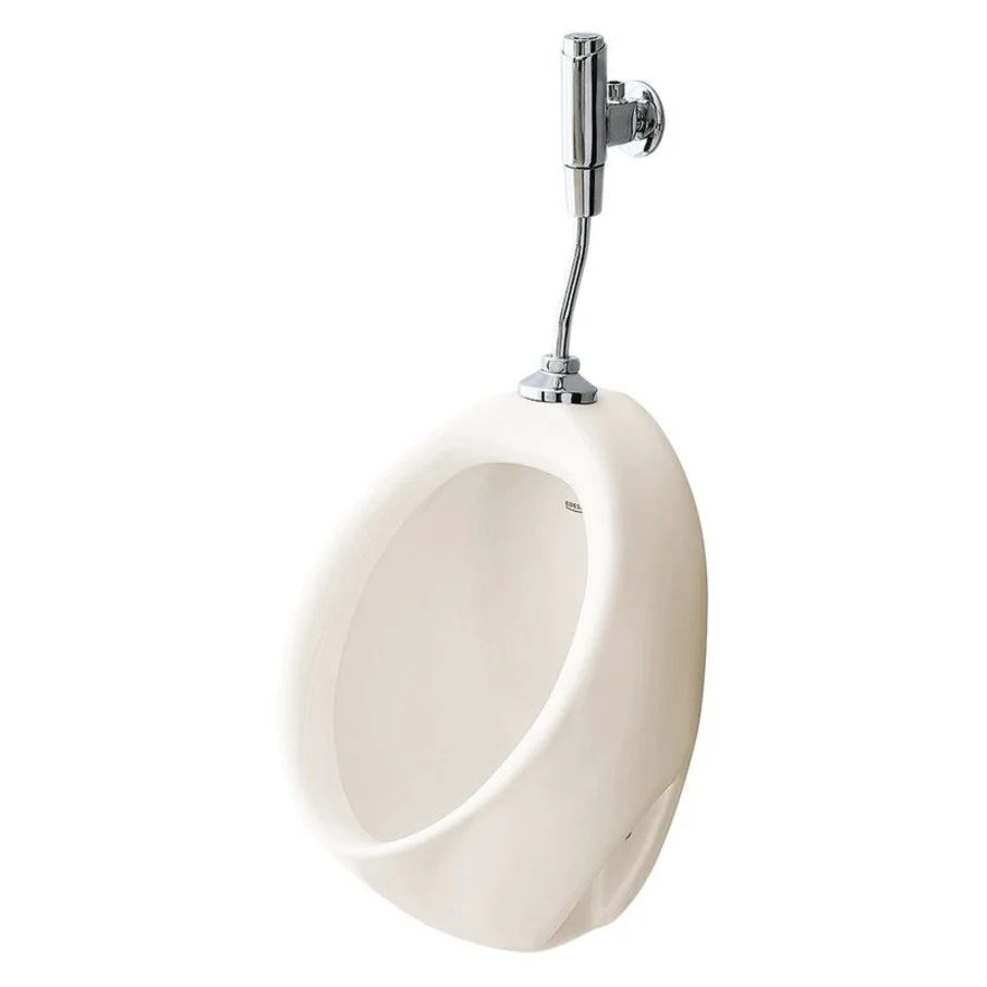 CS0065927331CE URINARIO BOLTON BONE EDESA CS0065927331CE URINARIO BOLTON BONE EDESA