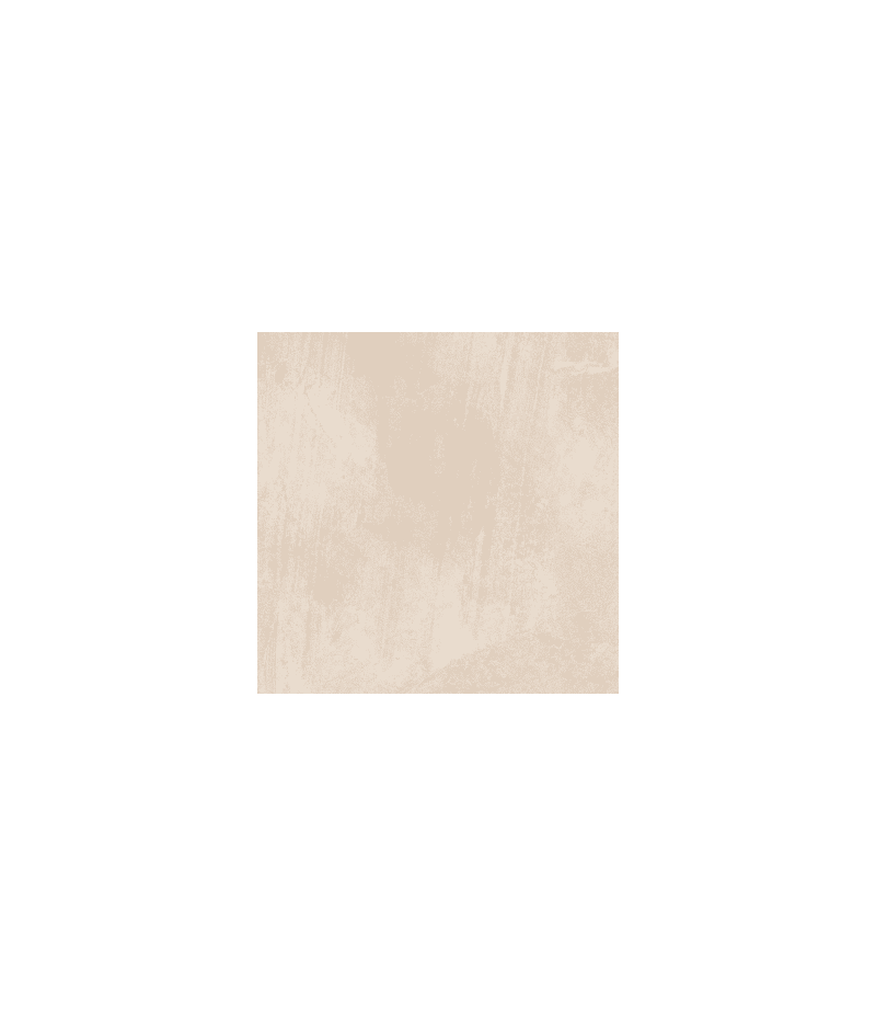 PORCE. RIALTO OREGON BONE 60X60 EXP RECT (1.44)