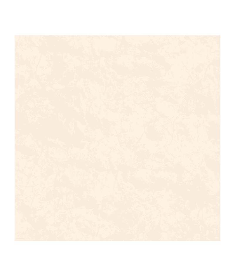 CER. RIALTO SPINETTO CREMA 43X43 EXP (1.90) CER. RIALTO SPINETTO CREMA 43X43 EXP (1.90)
