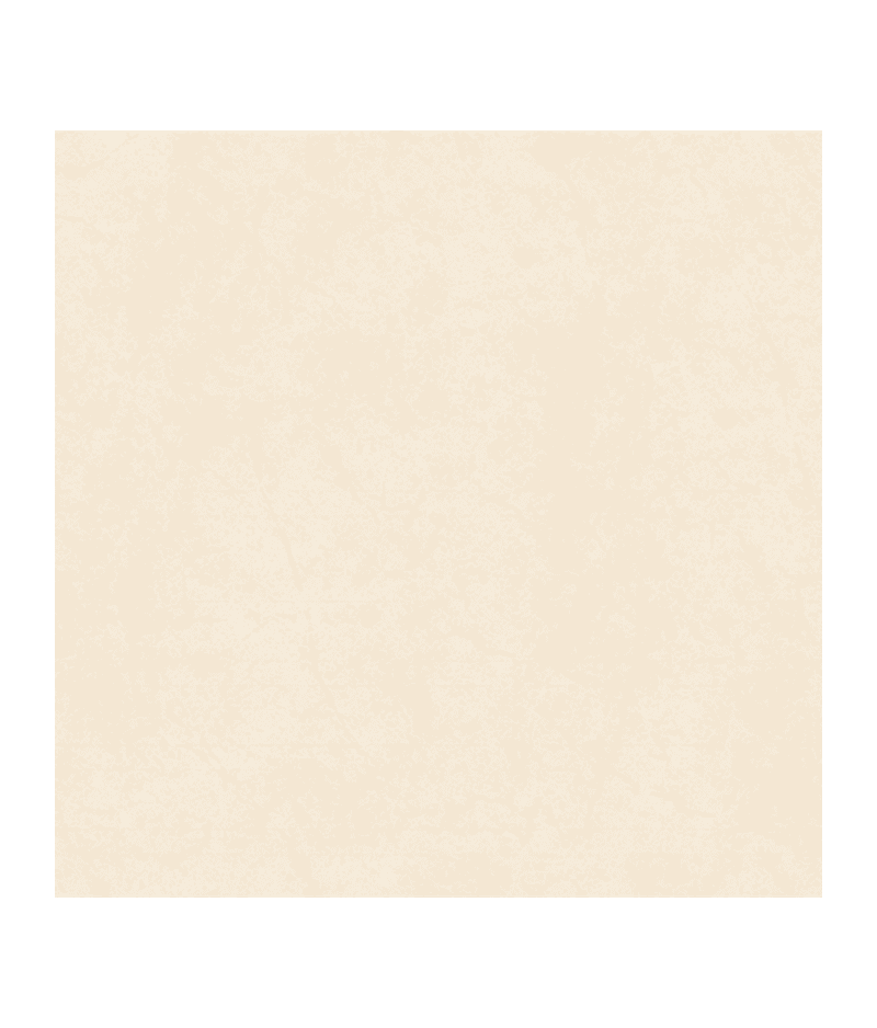 CER. RIALTO ARIZONA MARFIL 60.5X60.5 EXP (1.83) CER. RIALTO ARIZONA MARFIL 60.5X60.5 EXP (1.83)