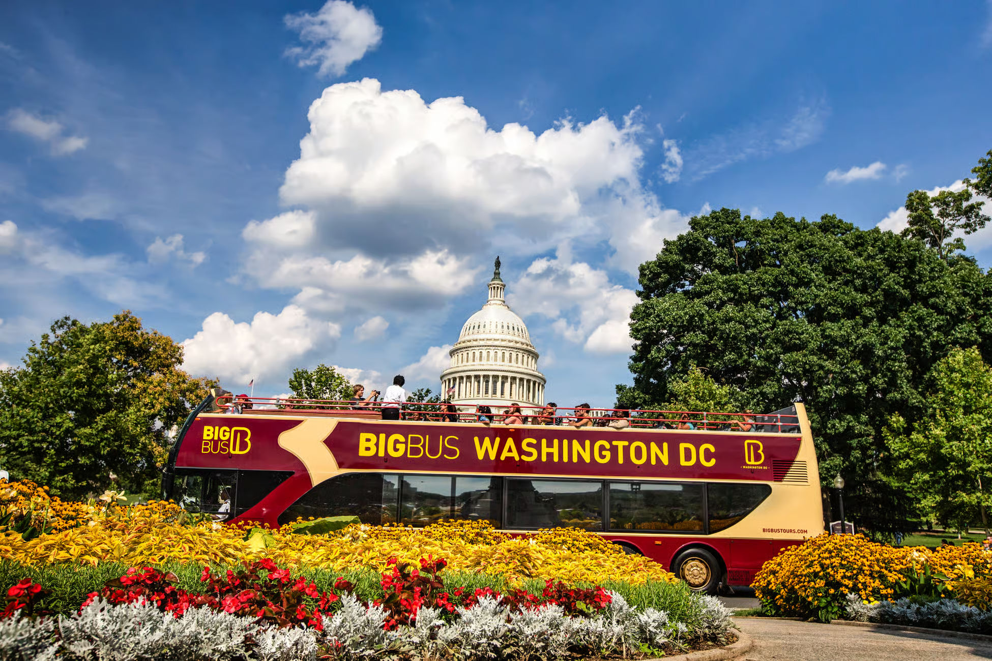 Big Bus Tours: Washington D.C. Hop On Hop Off Bus Tour