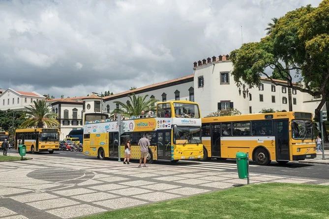 Yellow Bus: Funchal Bus Tour with Whale & Dolphin Watching by Boat