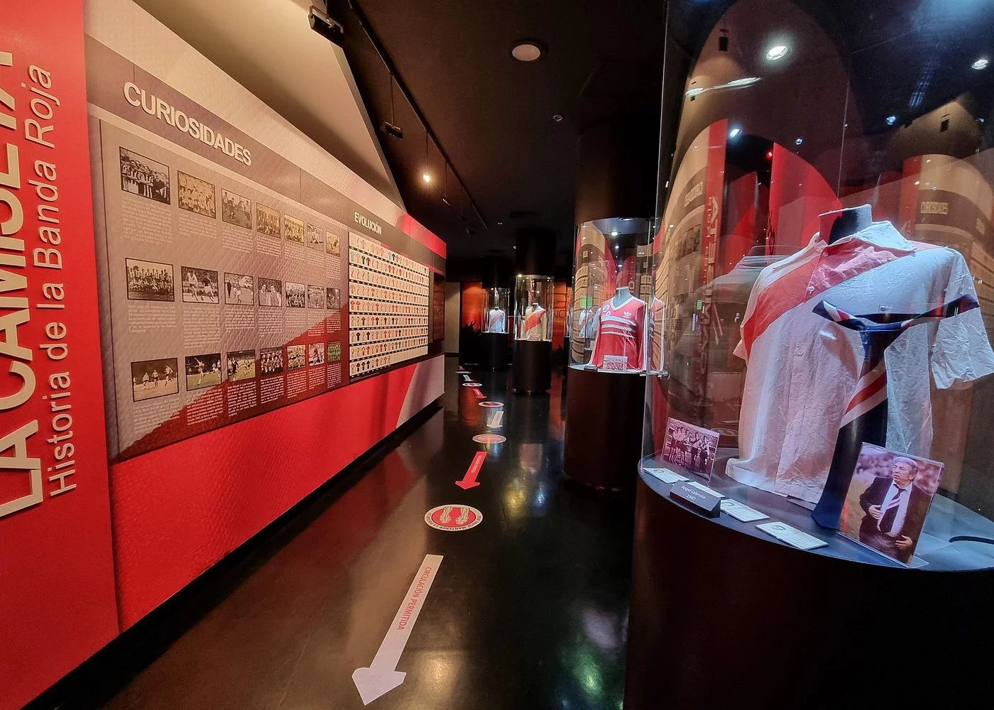 Gray Line Buenos Aires Tourist Bus + Boca Juniors Museum + Lunch at Jugador No. 12