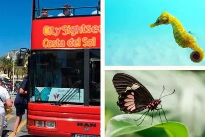 City Sightseeing Benalmadena Bus & Boat + Butterfly Park + Sea Life