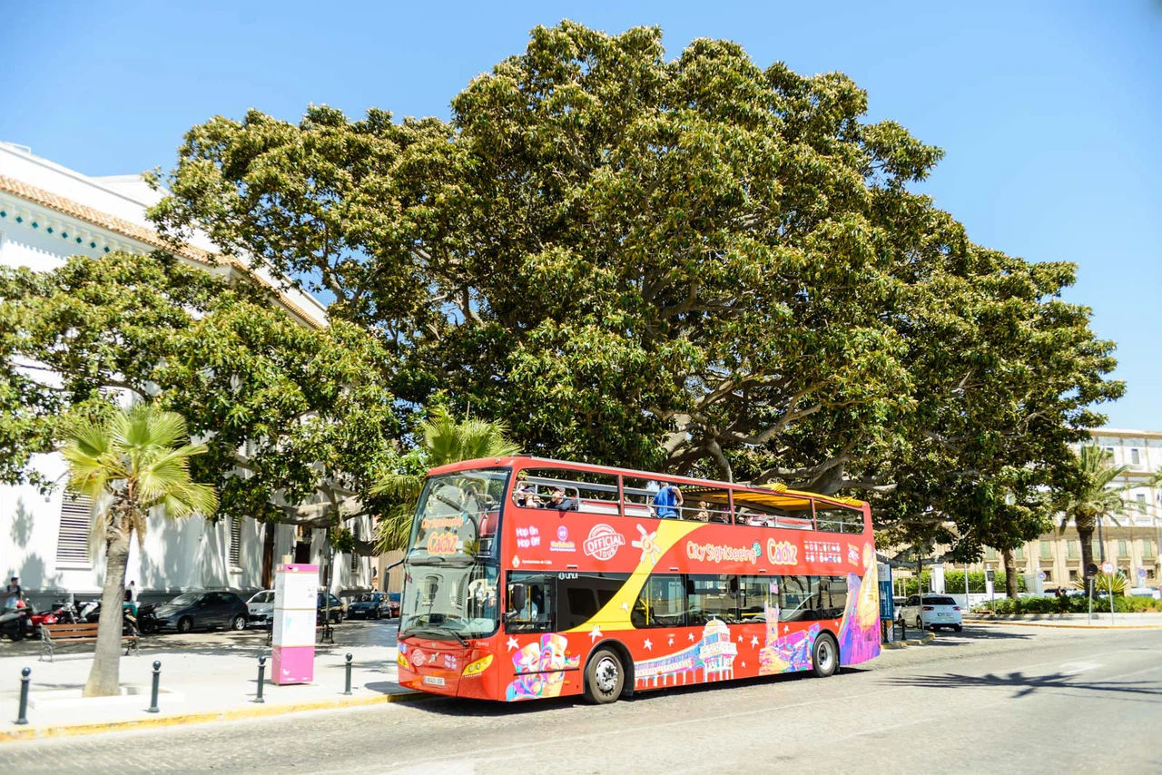 City Sightseeing Cadiz Hop-On Hop-Off + Cathedral and Tower Ticket (Essential)