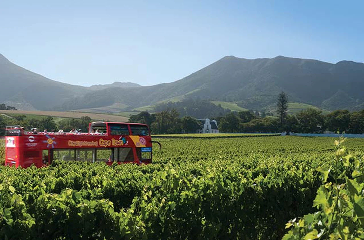City Sightseeing Cape Town Premium Hop On Hop Off Bus Tour (2 Day Ticket)