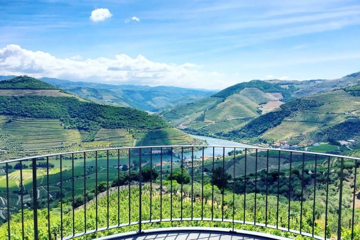 Historical Tour of Douro Valley - Full Day 