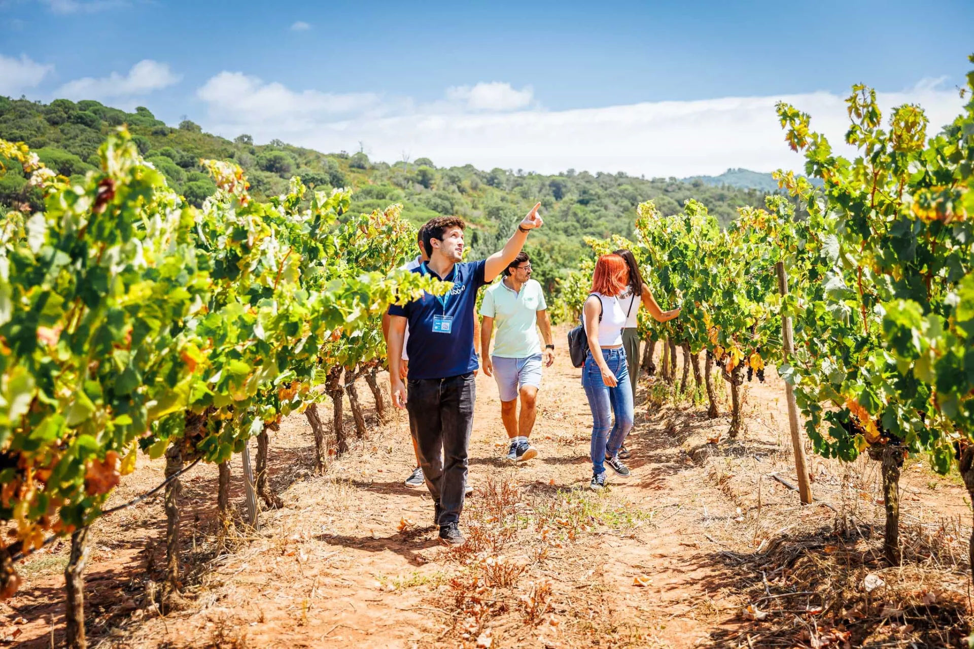 Arrabida Wine Tour