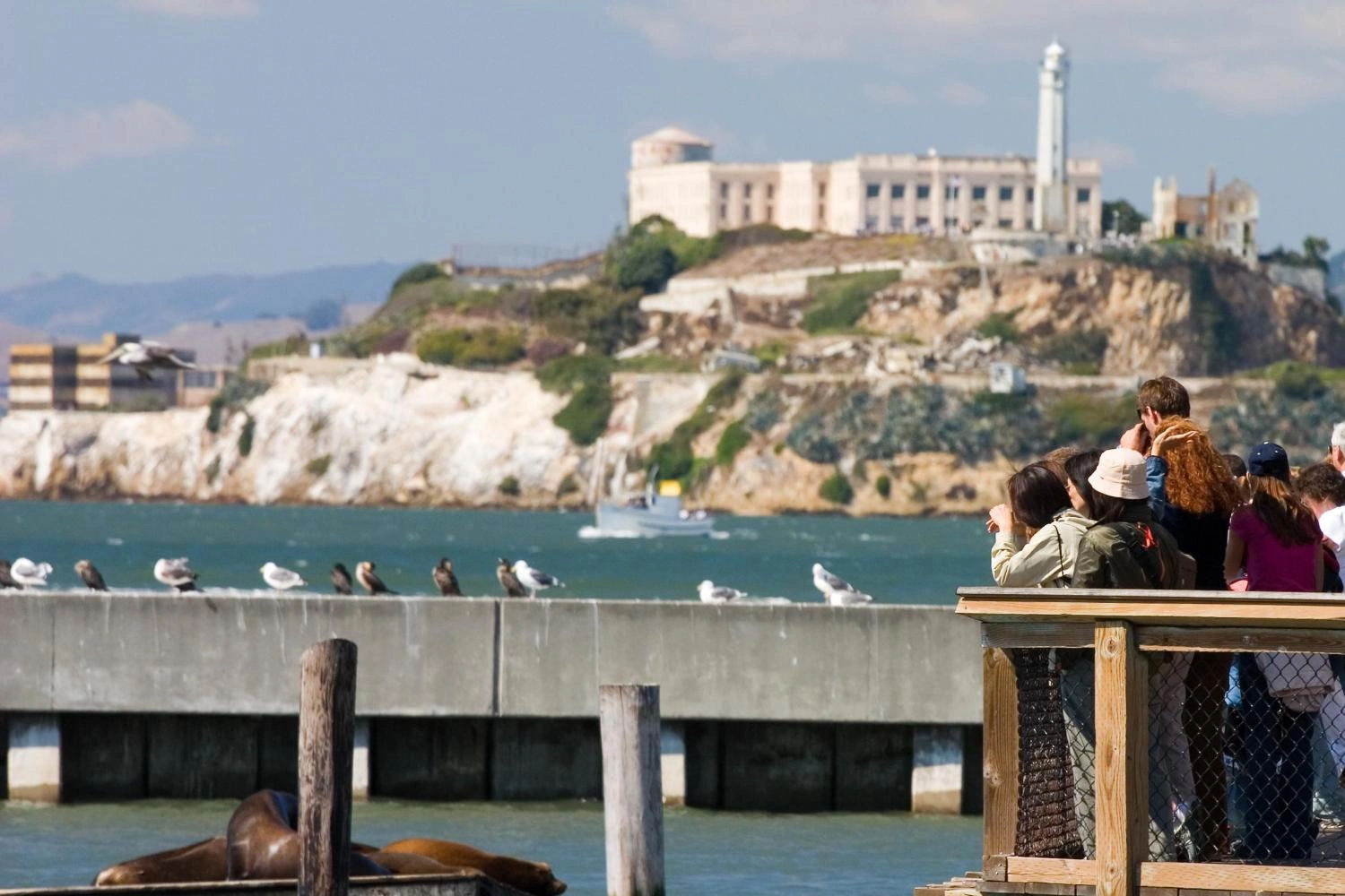 San Francisco City Tour & Alcatraz Island